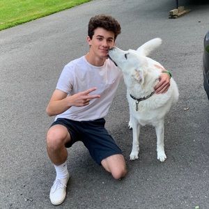 Meet your Posher, Casey